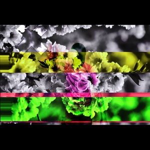 Meet your Posher, Malik